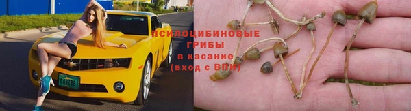 кокс Алзамай