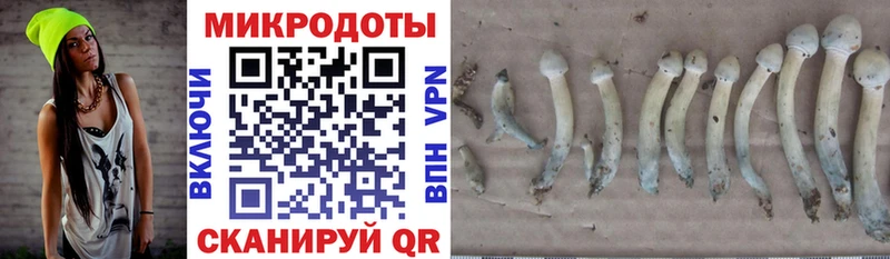 Галлюциногенные грибы GOLDEN TEACHER  Купить  Кореновск 